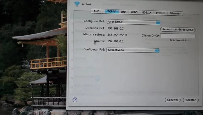 Acepta los cambios y aplica la configuración.