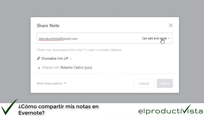 Opción 3: Solo ver (solo lectura).