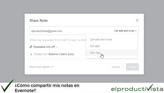 Opción 3: Solo ver (solo lectura).