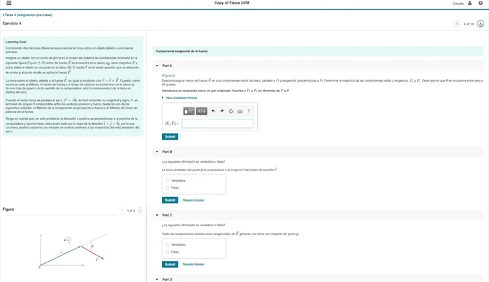 Completa las preguntas de arrastrar y soltar o de lienzo según se requiera.