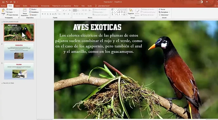 Seleccionar la diapositiva en la que quieres aplicar la transición automática.