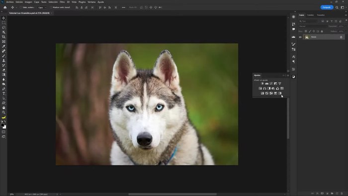 Agregar otro ajuste de curvas para crear una curva en forma de 'S', atenuando las iluminaciones y subiendo los claros.
