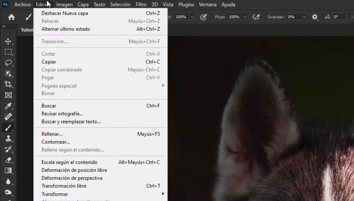 Repetir el paso 6, pero con la herramienta Subexponer, para oscurecer las áreas de la izquierda.