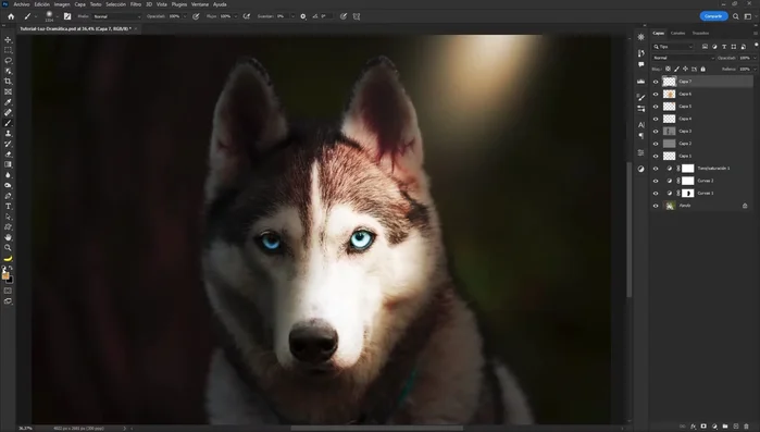 Insertar una imagen de fondo, ajustar su tamaño, posición, modo de fusión ('Trama') y opacidad.