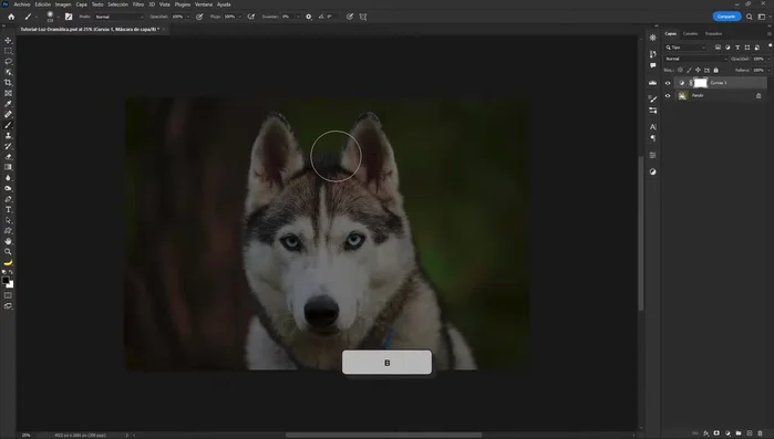 Agregar otro ajuste de curvas para crear una curva en forma de 'S', atenuando las iluminaciones y subiendo los claros.