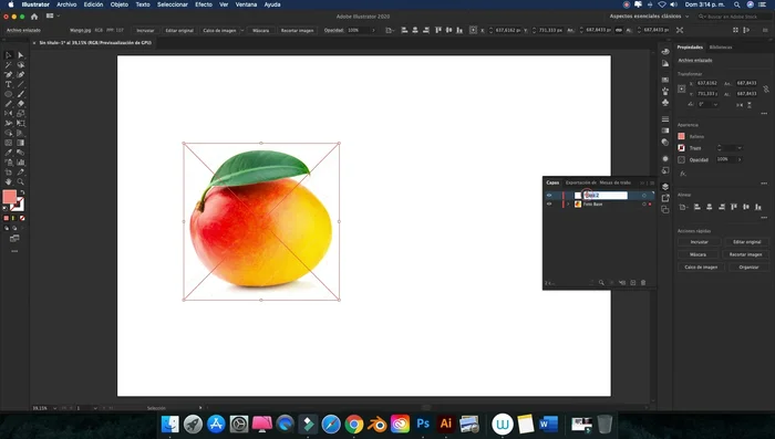 Abrir la fotografía en Adobe Illustrator y crear una nueva capa llamada "Malla".