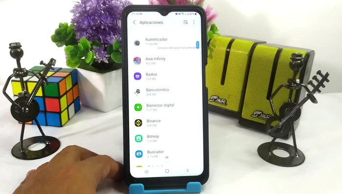 Seleccionar la aplicación cuya caché se desea limpiar (ej: WhatsApp, Instagram, Chrome).