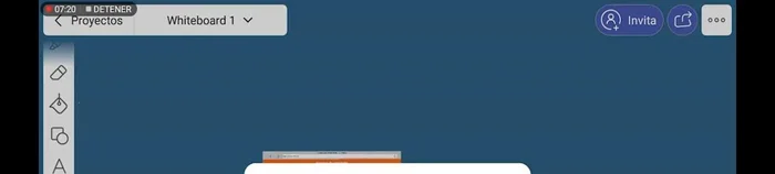 Grabar la presentación en vídeo o audio utilizando las funciones de grabación de la aplicación.