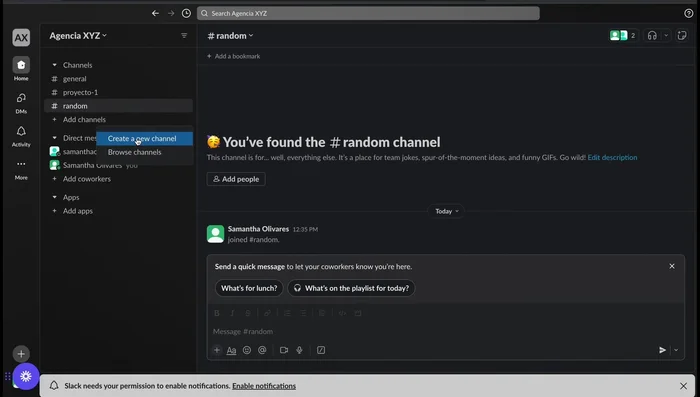 Crear canales: Haz clic en 'Agregar canales' (Add channels) y crea canales para diferentes temas o proyectos. Puedes elegir entre canales públicos o privados.