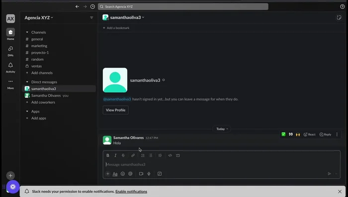 Subir archivos: Utiliza la opción 'Adjuntar archivo' para compartir documentos y otros archivos con tu equipo.