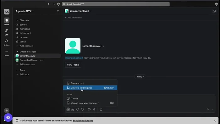 Subir archivos: Utiliza la opción 'Adjuntar archivo' para compartir documentos y otros archivos con tu equipo.