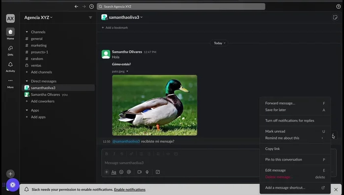 Utilizar opciones adicionales de los mensajes: Reacciona a los mensajes, reenvíalos, guárdalos, apaga las notificaciones, marca como no leído, programa recordatorios, copia el enlace o edita/elimina mensajes.