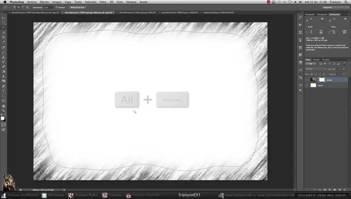 Rellena la selección con blanco (Alt+Retroceso).