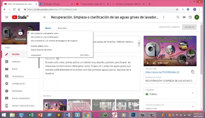 Copiar la URL del vídeo.