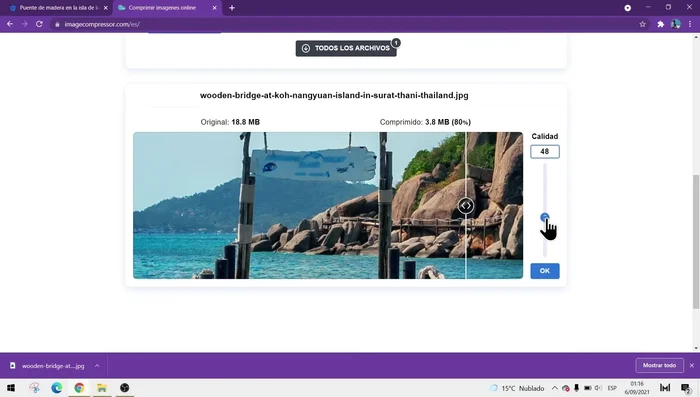 Hacer clic en 'OK' para aplicar los cambios antes de descargar.