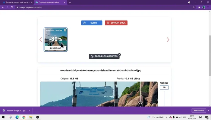 Hacer clic en 'OK' para aplicar los cambios antes de descargar.