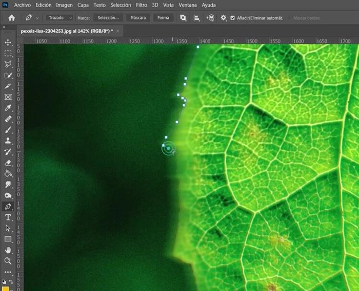 Duplicar la capa seleccionada (Control + J). Esto creará una copia solo de la parte seleccionada.