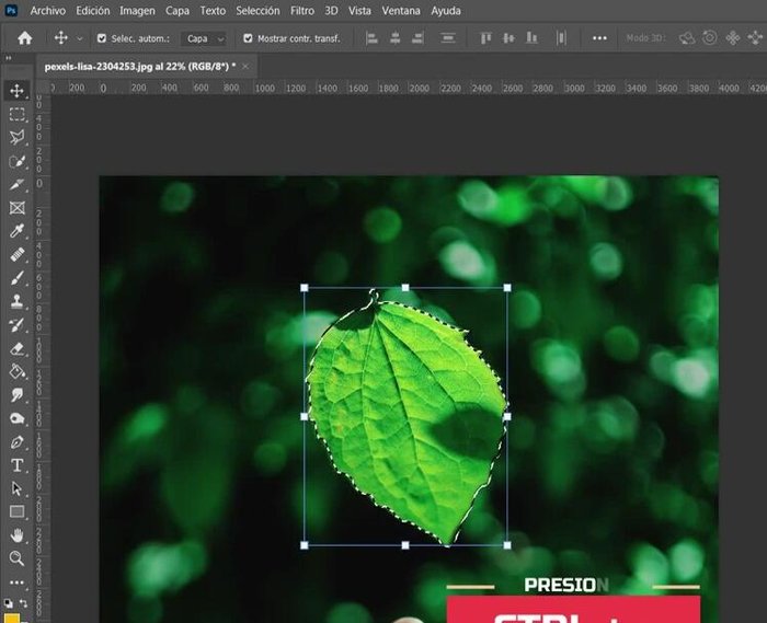 Duplicar la capa seleccionada (Control + J). Esto creará una copia solo de la parte seleccionada.