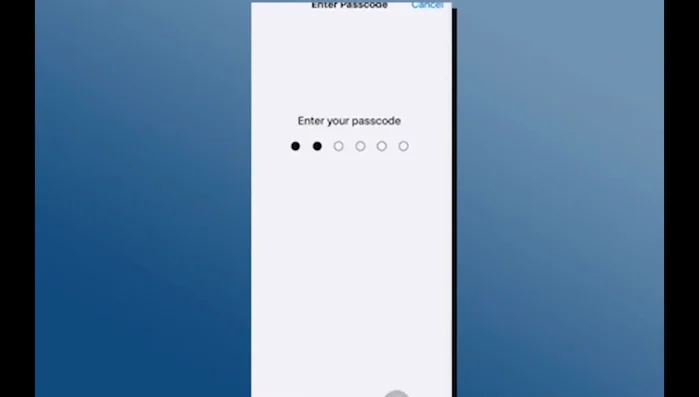 Selecciona 'Transferir o restablecer iPhone'.