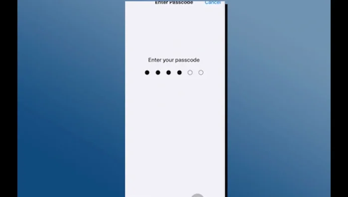 Selecciona 'Transferir o restablecer iPhone'.