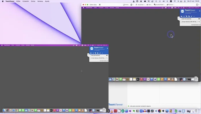 Iniciar sesión en TeamViewer y controlar el ordenador remoto