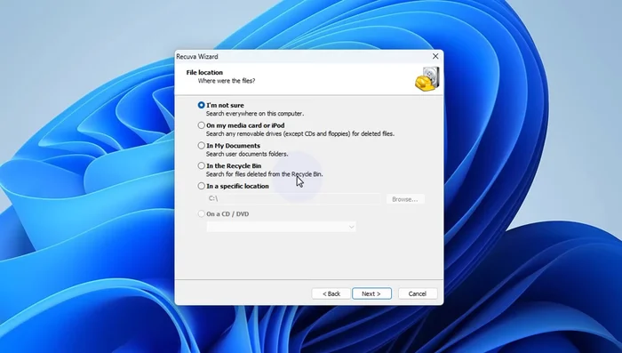 Seleccionar los archivos recuperados y guardarlos en una nueva ubicación (se recomienda una diferente a la unidad formateada).