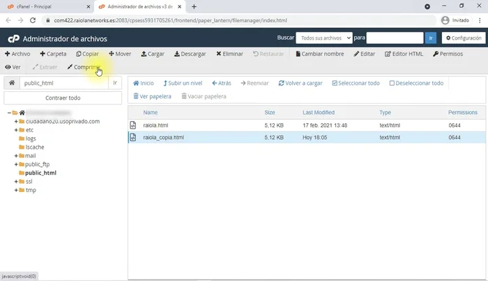 Descargar archivos: Para descargar archivos o carpetas, comprimirlos primero (utilizando la opción 'Comprimir' en la barra superior). Luego, seleccionar el archivo comprimido y hacer clic en 'Descargar'.