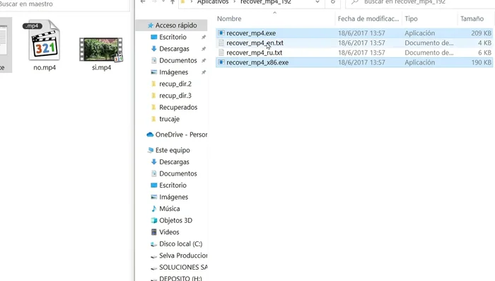 Copiar los dos ejecutables del programa (64 y 32 bits) a la carpeta 'Maestro'.