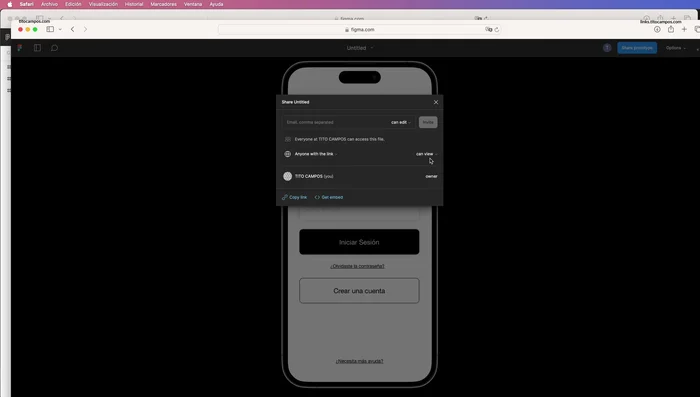 Verificar que el acceso sea público y copiar el enlace.