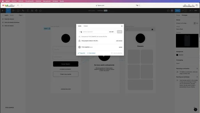 Seleccionar el nivel de acceso: editar, ver o solo ver prototipos.
