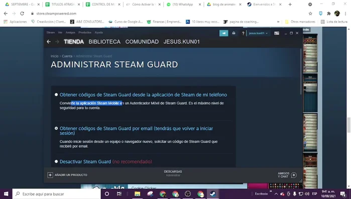 Selecciona la opción que prefieras (se recomienda la opción 2 para mayor simplicidad y accesibilidad).
