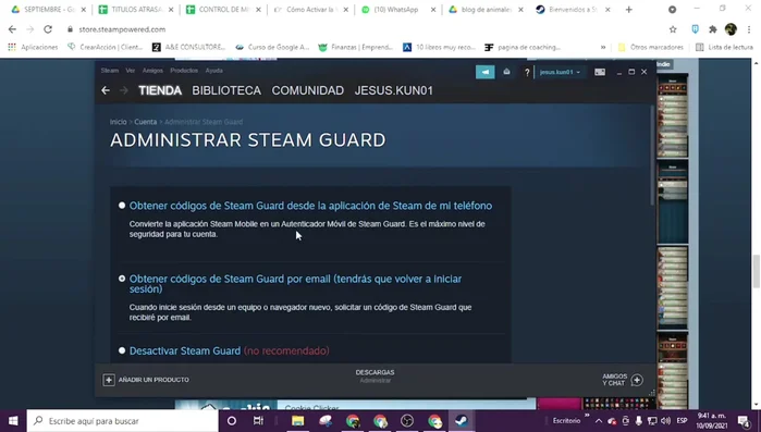 Selecciona la opción que prefieras (se recomienda la opción 2 para mayor simplicidad y accesibilidad).