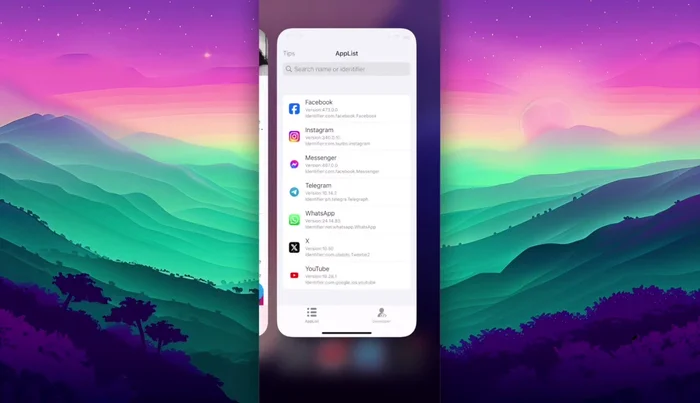 Verificar la versión instalada de la aplicación en el App Store o en la app Downgrade App.