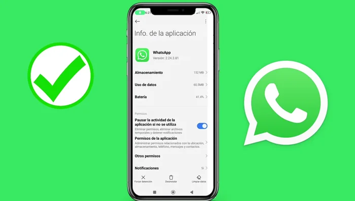 Elimina todos los datos.