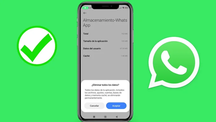 Elimina todos los datos.