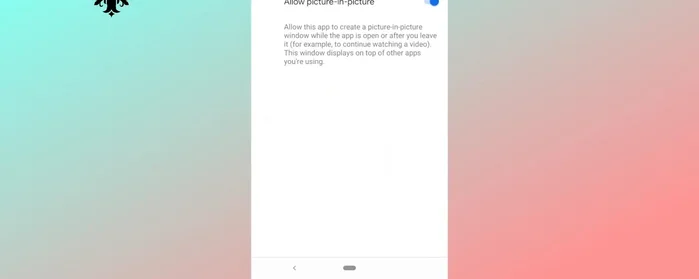 Activa la función 'Imagen en imagen'.