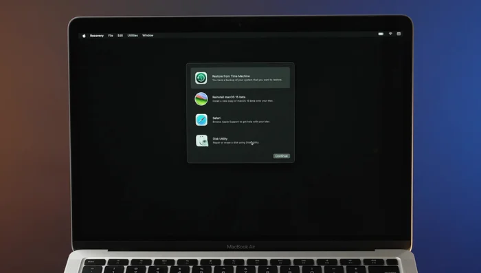Nombrar el volumen, mantener el formato APFS y seleccionar Borrar.
