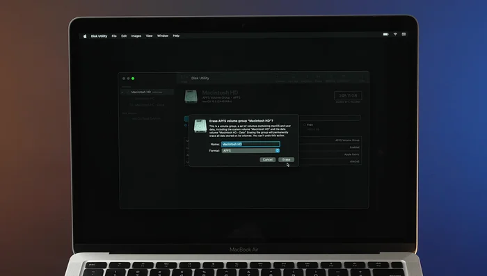 Nombrar el volumen, mantener el formato APFS y seleccionar Borrar.