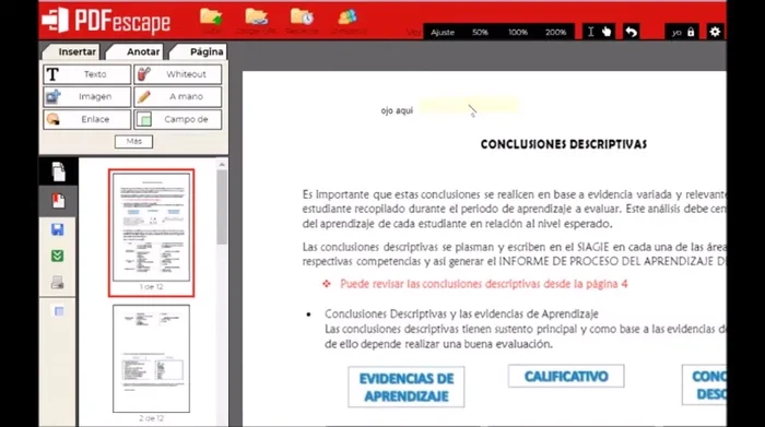 Insertar Texto e Imágenes: Agrega texto haciendo clic en 'Insertar Texto', escribe y cierra con la barra amarilla. Para imágenes, selecciona 'Insertar Imagen', elige el archivo (JPG o PNG), ajusta el tamaño y posición, y cierra con la barra amarilla.