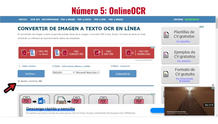 Selecciona el idioma y el formato de salida.