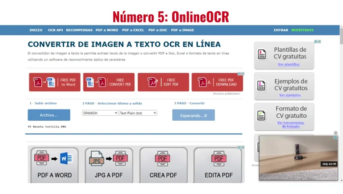 Haz clic en 'Convertir' y descarga el archivo de texto resultante.
