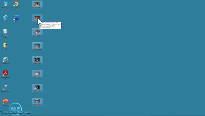Seleccionar la opción "Imprimir".