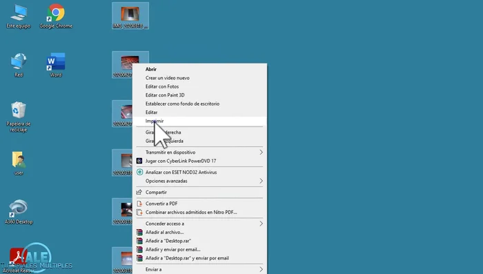 Seleccionar la opción "Imprimir".