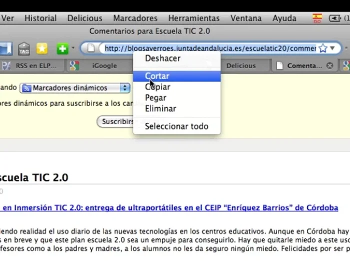 Identifica la URL del feed RSS del blog. A menudo, se encuentra en la configuración del blog o en una sección de ayuda.