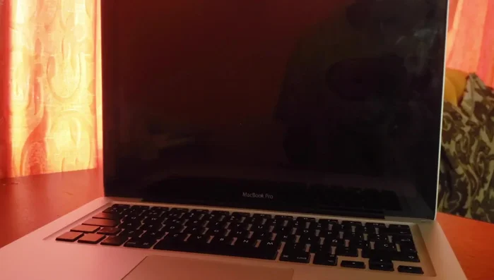 Abre la Terminal y escribe `fsck -fy` . Este comando verifica y repara el sistema de archivos.