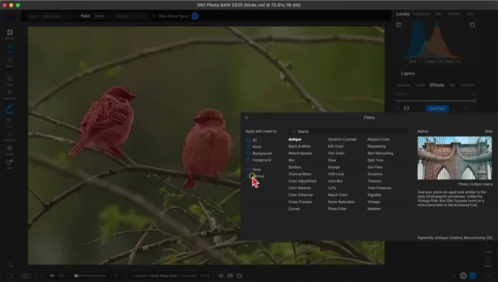 Ajusta el filtro a tu gusto.