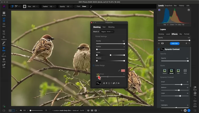 En las propiedades de enmascaramiento del filtro, utiliza el icono "Copiar máscara".