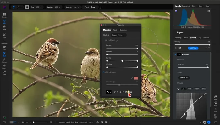 En las propiedades de enmascaramiento del nuevo filtro, usa el icono "Pegar máscara" para aplicar la máscara copiada.