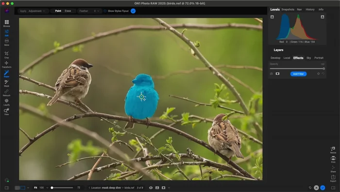 Selecciona el sujeto pasando el cursor sobre las regiones deseadas. Se resaltarán en azul.
