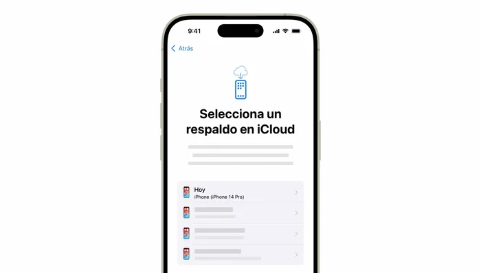 Revisa la vista previa de los datos y toca "Continuar" (o "Personalizar" si necesitas ajustes).